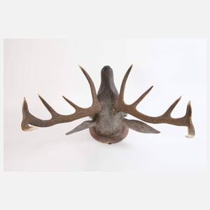 Geschnitzte Jagdtrophäe