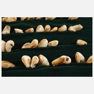 Konvolut Hirschgrandeln