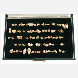 Konvolut Hirschgrandeln