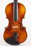 Violine