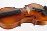 Violine