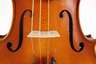 Violine