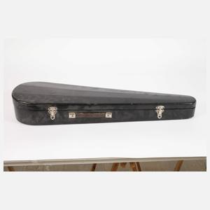 Violine im Etui