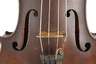 Violine