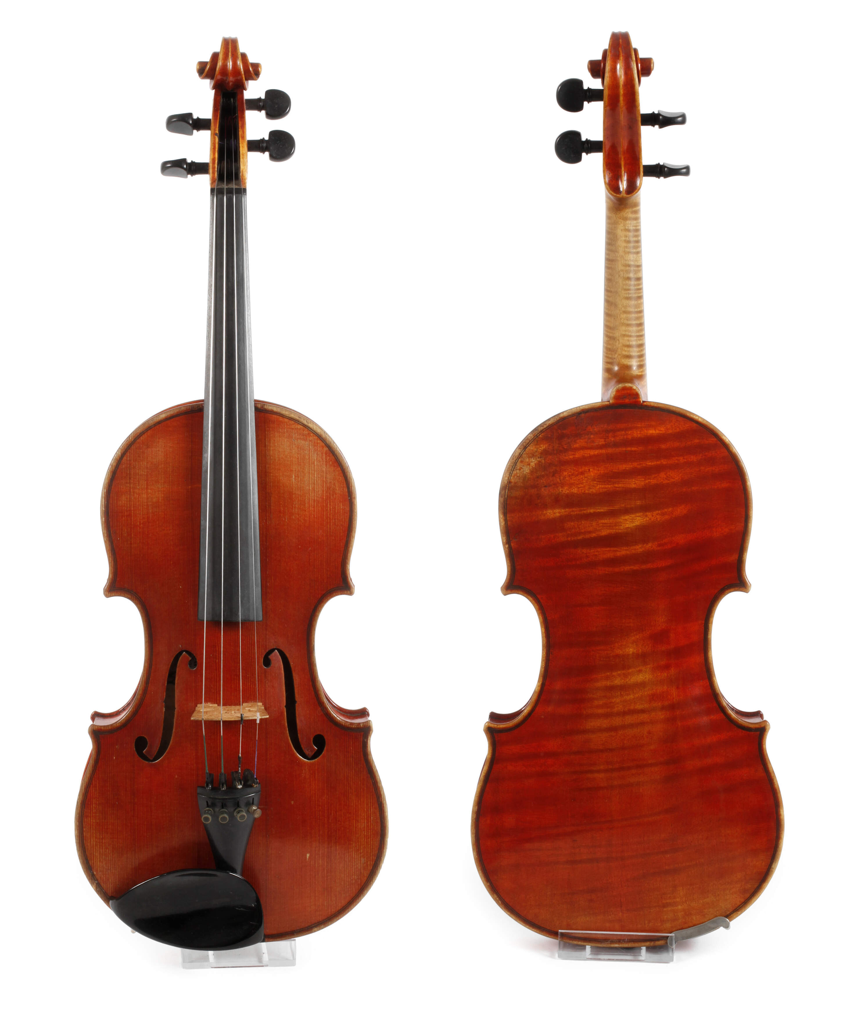 Violine Wilfer