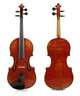Violine Wilfer