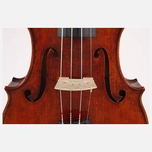 Violine Knorr