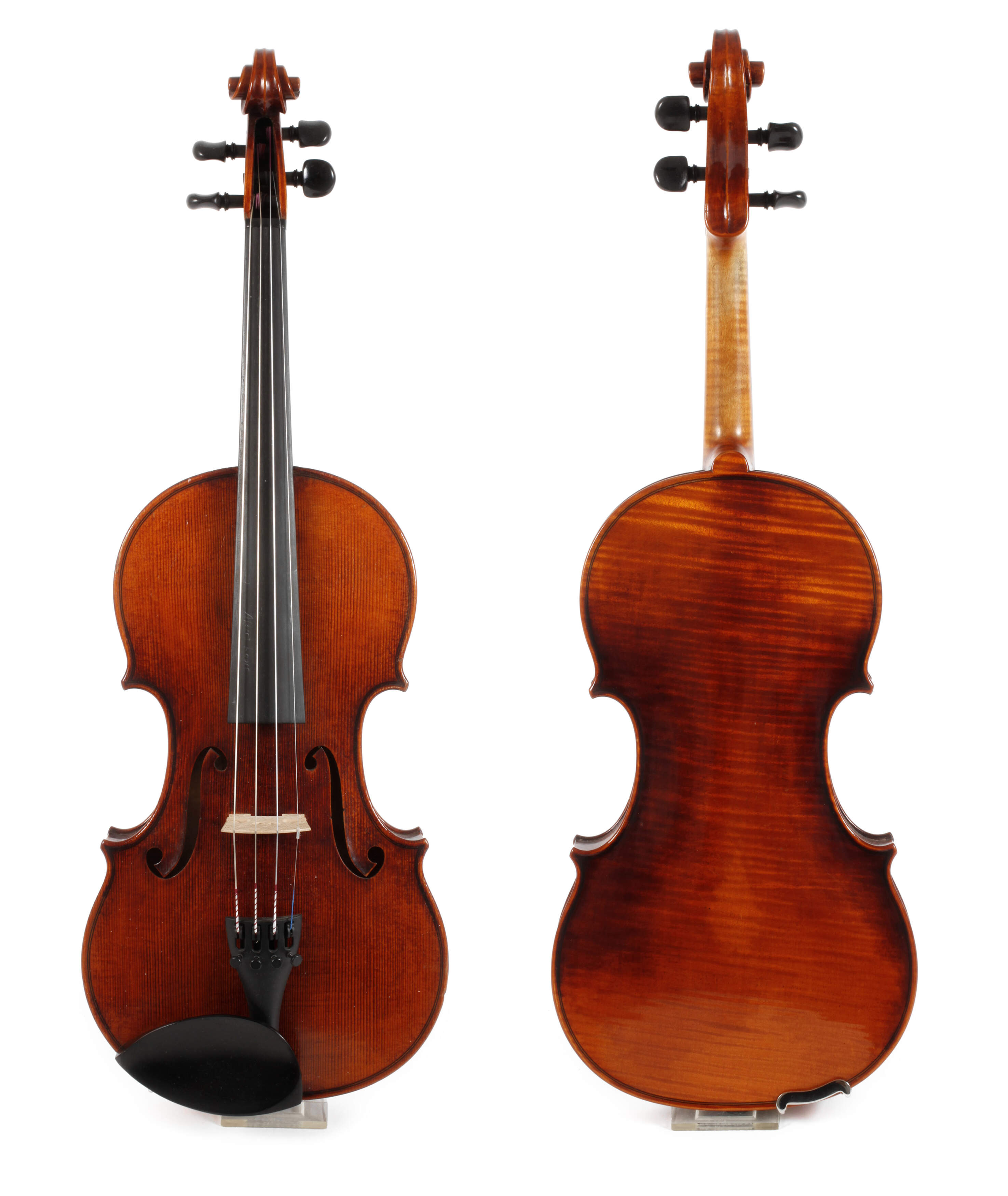 Violine Knorr