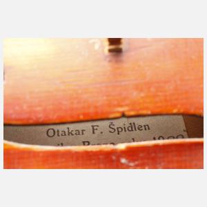 Violine Spidlen