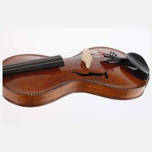 Violine im Etui