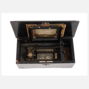 Kleine Walzenspieldose