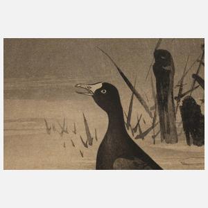 Farbholzschnitt Ohara Koson