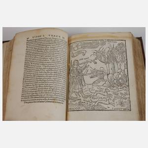 Margarita Philosophica 1535