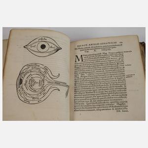 Margarita Philosophica 1535