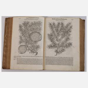 Petri Andreae Matthioli Senensis Medici 1565