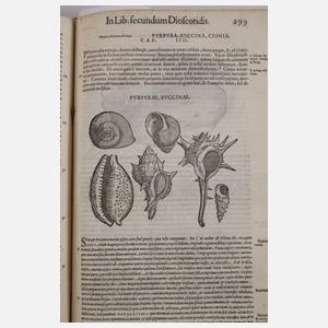 Petri Andreae Matthioli Senensis Medici 1565