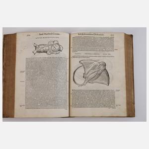 Petri Andreae Matthioli Senensis Medici 1565