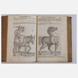 Petri Andreae Matthioli Senensis Medici 1565