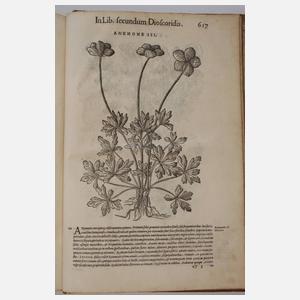 Petri Andreae Matthioli Senensis Medici 1565