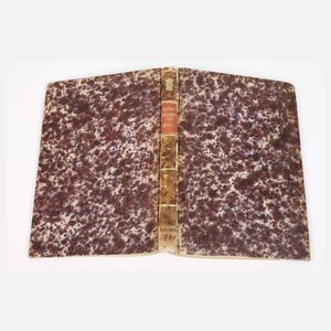 Beiträge zur Geschichte der Stadt Plauen 1876