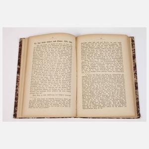 Beiträge zur Geschichte der Stadt Plauen 1876