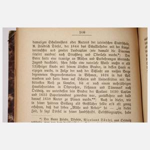 Beiträge zur Geschichte der Stadt Plauen 1876
