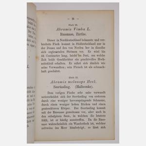 Die Fische Deutschlands und der Schweiz