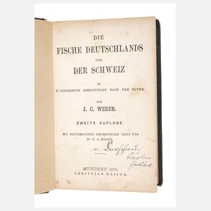 Die Fische Deutschlands und der Schweiz