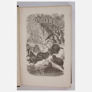 llustrirtes Thierleben 1864