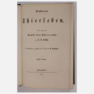 llustrirtes Thierleben 1864