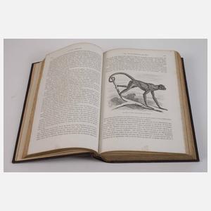 llustrirtes Thierleben 1864