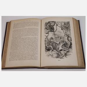 llustrirtes Thierleben 1864