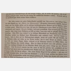 llustrirtes Thierleben 1864