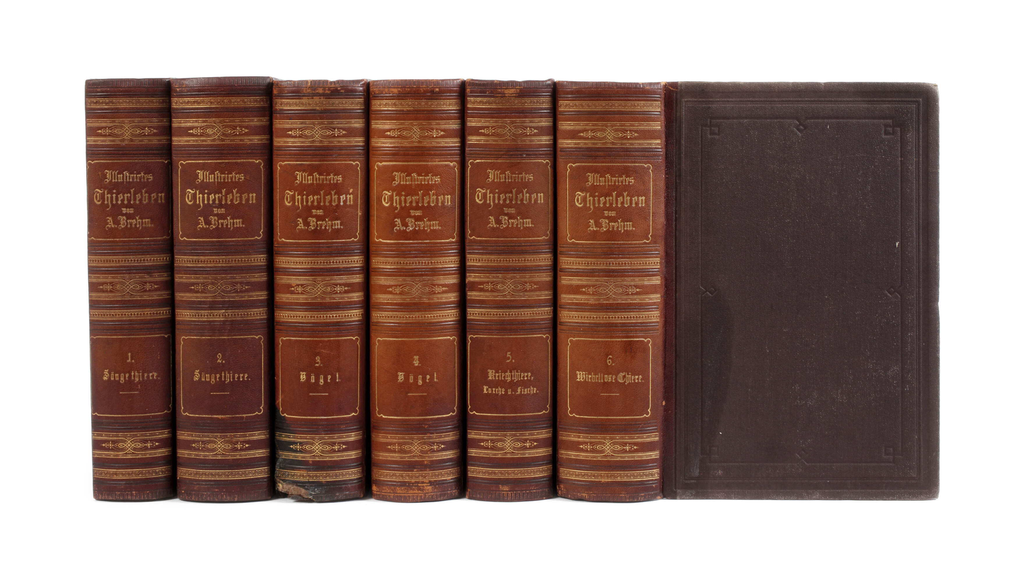 llustrirtes Thierleben 1864