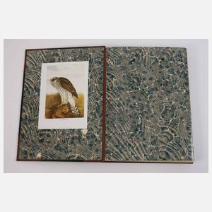 Naumann, Naturgeschichte der Vögel Mitteleuropas