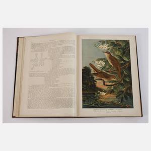 Naumann, Naturgeschichte der Vögel Mitteleuropas