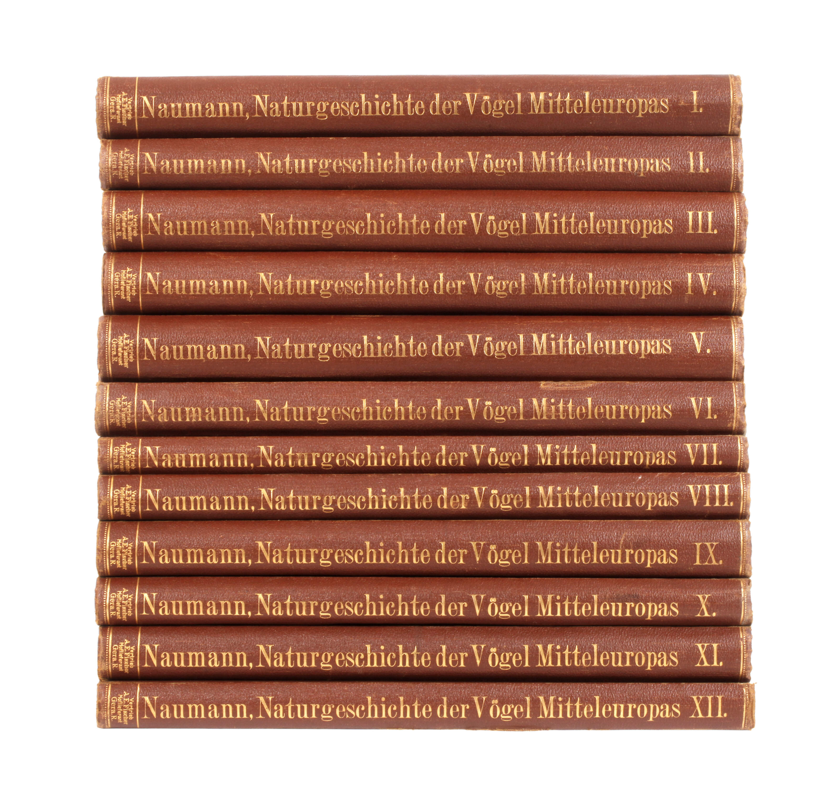 Naumann, Naturgeschichte der Vögel Mitteleuropas