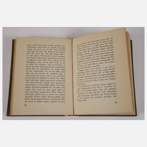 Alfred Döblin, Die Ermordung einer Butterblume