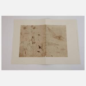 Leonardo Da Vinci Zeichnungen