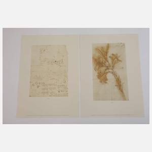 Leonardo Da Vinci Zeichnungen