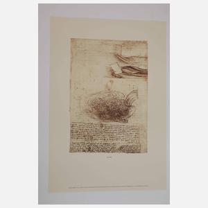 Leonardo Da Vinci Zeichnungen