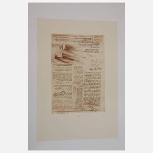 Leonardo Da Vinci Zeichnungen