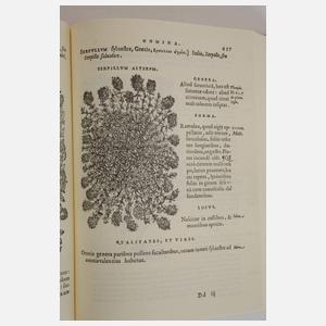 Matthioli, Senensis Medici Compendium