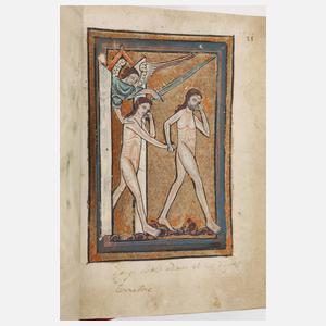 Die Oxforder Bilderbibel