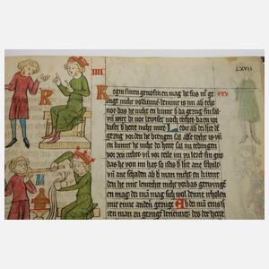 Wolfenbütteler Sachsenspiegel