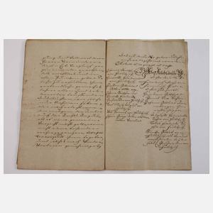 Konvolut historische Belege Rittergut Treuen