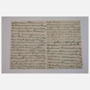 Briefe Elisabeth und Friedrich von Meißen