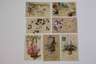 Konvolut Motiv-Postkarten