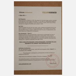 Lili Roze, Foto Eden