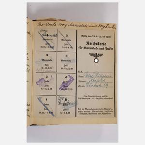 Reisetagebücher und Fotos eines Seidenfabrikanten